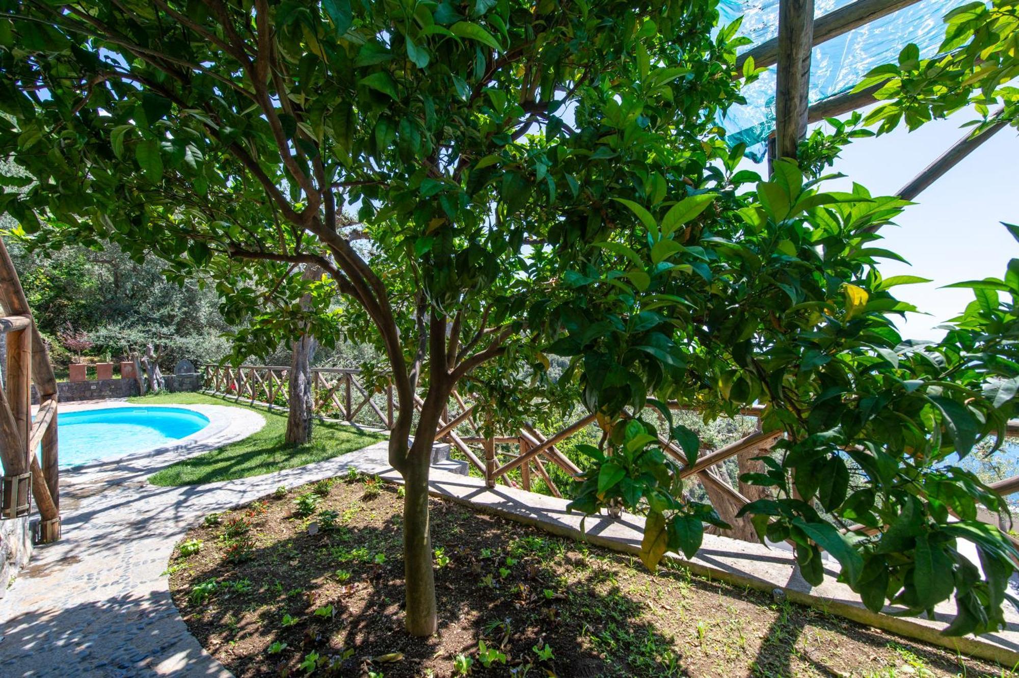 Le Contrade By Sosore Holiday Homes -Amalfi Coast Furore Oda fotoğraf